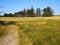 Tranquil footpath walking path on green grass by the ocean