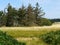 Tranquil footpath walking path on green grass by the ocean