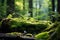 Tranquil Forest moss nature. Generate Ai