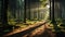 Tranquil forest path reveals the beauty of nature mystery generated by AI