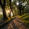 Tranquil forest path Sunset hues, trees embracing natures scenic beauty