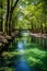 Tranquil Forest River. Scenic Landscape with Serene Waterway Amidst Towering Trees and Lush Greenery. Vertical