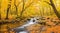 A tranquil forest scene with vibrant autumn foliage and a meandering stream