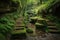 tranquil forest with trail of stepping stones leading to hidden waterfall