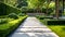 Tranquil Garden Path with Lush Greenery and Modern Landscaping. Perfect for Outdoor Design Inspiration. Serene Walkway