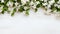 Tranquil Gardenscapes: Elegant Jasmine Flowers On White Tuscan Wooden Background