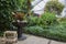 Tranquil Greenhouse Oasis with Ornamental Sphere Planter