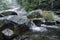 Tranquil image at tropical river surrounded by green forest. wet and mossy stone