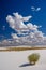 Tranquil image of white sand dunes and beautiful blue sky, White Sands National Monument