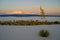 Tranquil image of white sand dunes and beautiful blue sky, White Sands National Monument