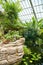 Tranquil Indoor Garden with Waterfall and Tropical Plants