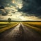 Tranquil Journey: Rural Road Under Majestic Rainclouds