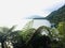 A Tranquil Lake With Native Ferns