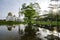 Tranquil lake surrounded As-Salam Mosque located in Selangor, Malaysia