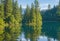 A tranquil lake surrounded by towering evergreen trees, their reflections mirrored in the calm waters.