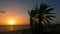 Tranquil landscape with palm trees and beautiful sunset or sunrise over the sea