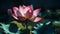 Tranquil lotus blossom in formal garden elegance generated by AI