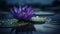 Tranquil lotus blossom reflects beauty in nature fragility on water generated by AI