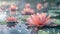 Tranquil lotus flowers with dewdrops on pond