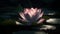 Tranquil lotus pond, pink blossoms floating peacefully generated by AI