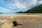 Tranquil Mai Ngam beach in beautiful day, Surin island national park, Phang Nga, Thailand