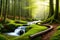 A tranquil and moss-covered forest with a meandering stream