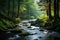 A tranquil mountain stream flowing through a forest