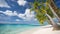 Tranquil Oasis: Serene Beach Scene with Crystal Clear Water and Lush Trees