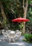 Tranquil outdoor setting featuring an array of tables and chairs sheltered by a large red umbrella