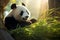 A tranquil panda munching on bamboo in a warm, sunlight-filled forest setting