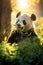 A tranquil panda munching on bamboo in a warm, sunlight-filled forest setting