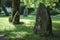 Tranquil Park with Ancient Standing Stones