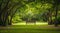 Tranquil Park Bench Surrounded by Lush Greenery. Generative ai