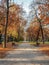 A tranquil park path is flanked by trees with autumnal foliage, their leaves forming a colorful carpet along the serene
