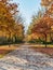 A tranquil park path is flanked by trees with autumnal foliage, their leaves forming a colorful carpet along the serene
