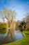 Tranquil park with a pond and wildflowers