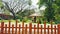 Tranquil park scene with a thatched gazebo surrounded by lush greenery and a wooden fence in the foreground