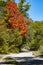 A Tranquil Path Along Credit River Mississauga with Beautiful Fall Foliage