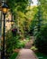 Tranquil pathway meandering through a lush forest of evergreens