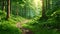 A tranquil pathway meanders through dense foliage in this beautiful forest painting, Lush green forest at sunrise, hyper realistic