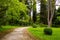 Tranquil pathway winds its way through a lush green park