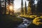 Tranquil peaceful forest landscape with water stream in summer sunset, AI