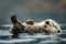 Tranquil photorealistic masterpiece sea otter peacefully floating in ocean waves with soft lighting