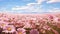 Tranquil Pink Field Of Flowers In Realistic Daz3d Style