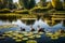 A tranquil pond with lily pads and a family of ducks swimming