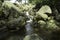 Tranquil Pool, trickling river.