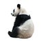 Tranquil portrayal of a panda sitting alone against a white background