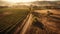 Tranquil rice paddy harvest at dusk in rural Africa generated by AI