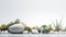 A tranquil rock garden with succulent plants and white pebbles A large, smooth, gray rock is the centerpiece of the