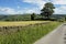 Tranquil Rural British Countryside in the Yorkshire Dales - Digital Watercolour Image.